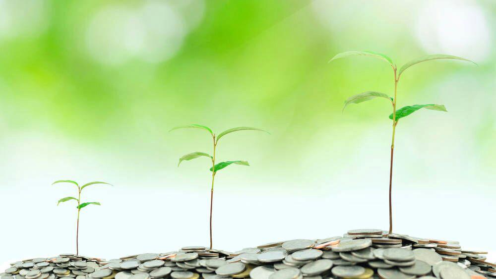 Des plantes poussant sur des piles de pièces de monnaie, symbole de la responsabilité environnementale des entreprises, soutenue par CSRD